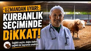 Kurbanlık Seçiminde Uzman Uyarısı Son Ayda İlaç Kullanımına Dikkat