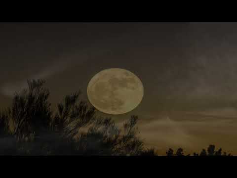 FREE | Dark Trap Beat | Full Moon | Horror Horrorcore | Rap Instrumental 2023