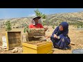 The Sweetest Reward The Hardest Day Harvesting Honey Together
