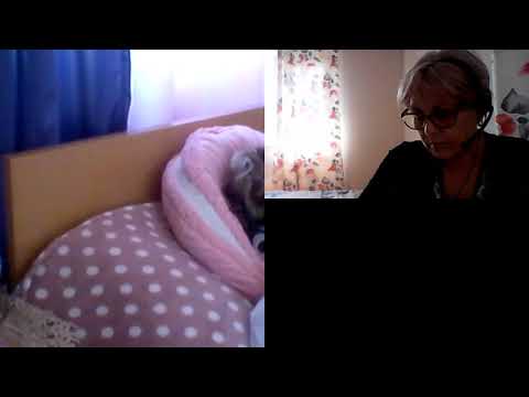 HIPNOZA REGRESIVA.RO-660.Mihnea,Sarpele Kodek  si Horus Ra. E. LASCU coord. si C.MORARU telepat