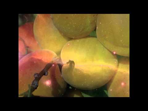 Menno De Jong Vs. Existone Feat. Hayley Parsons - Stardust Aromas (T.D. Mashup)