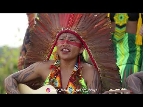 Coletânea Pinu Huya Keneya e Mawa Isa Keneya - Aldeia Pinuya - Huni Kuin - Casa Hairá - Ayahuasca