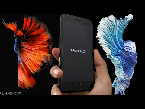 Apple iPhone 6s Screensaver