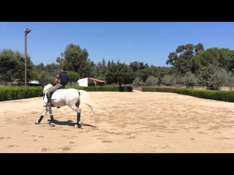 Cho Chang da Hermida