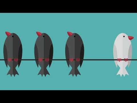 The Confirmation Bias | Official Trailer | Youtube