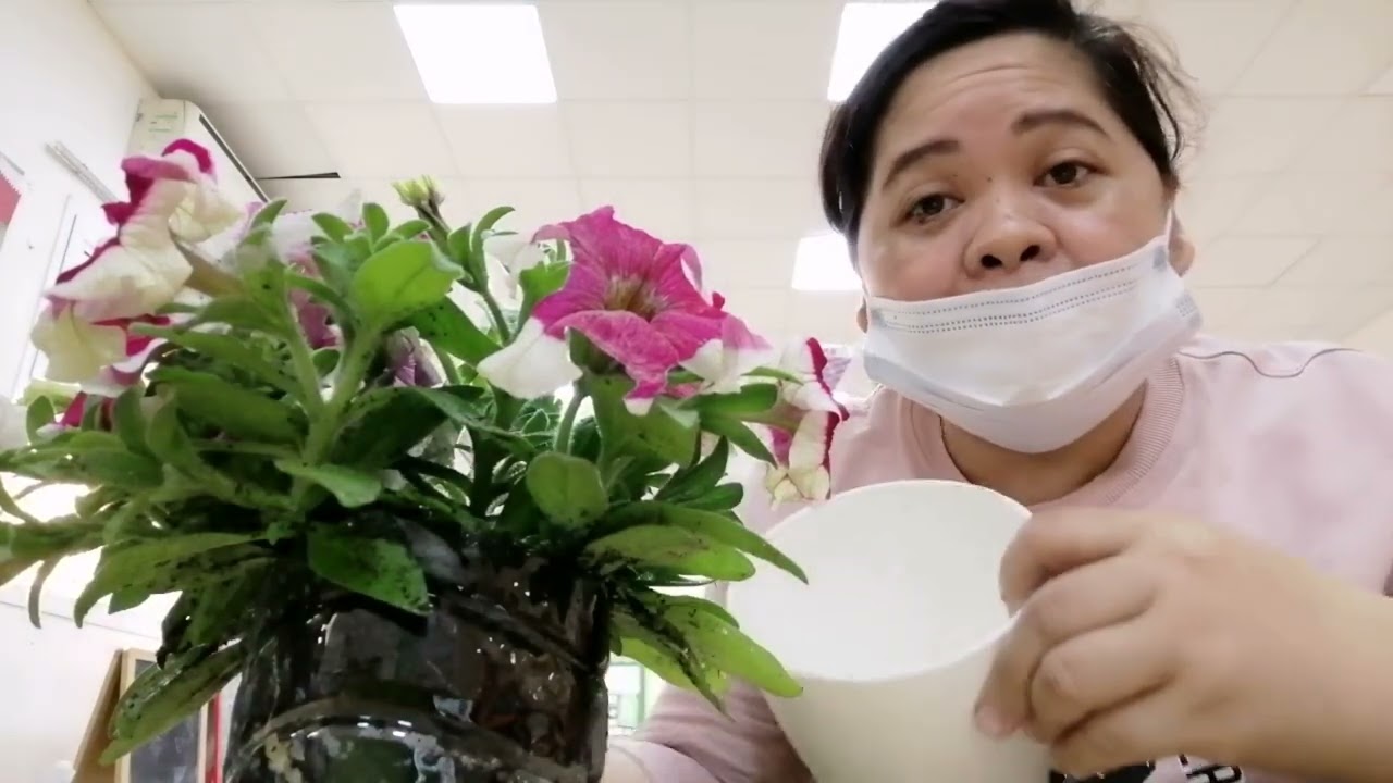 Garden's World | Classroom Decor | How to Decorate A Classroom | Classroom Themes | #gardenworld