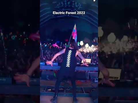 CloZee remix of “Gravitate” by #OPIUO at Electric Forest #clozee #edm #festival #rave