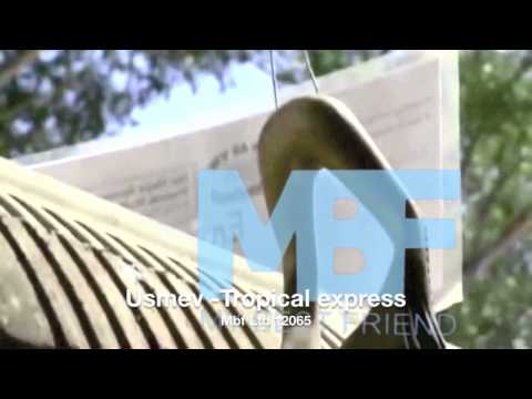 Usmev - The Tropical Express (MBF LTD 12065)