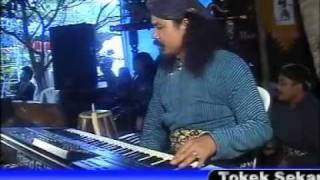 Download lagu Lintang Panjerino,glendoh,by.campursari tokek sekar mayank(call: 628122598859) mp3