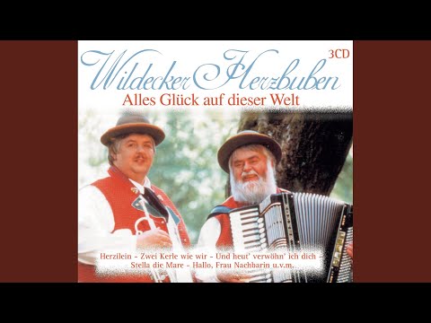 Am Ende Der Liebe Siegt Die Liebe - Wildecker Herzbuben