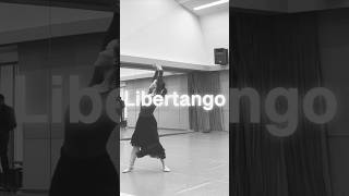 Download lagu Libertango mp3