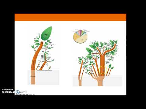 AP HuG Chapter 5 Key Issue 1