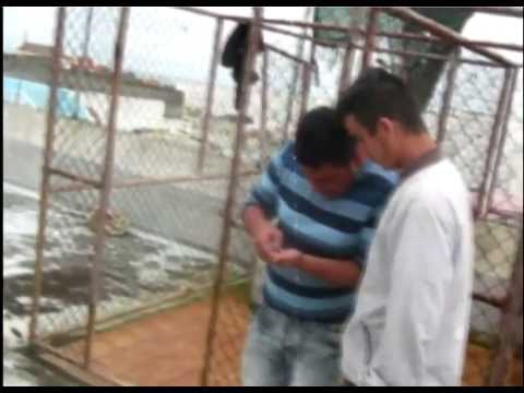 1ª Boysband açoriana - já não doi não