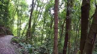 Yulin   is anyone there