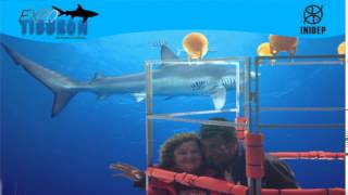 DIA 3 Expo Tiburon174