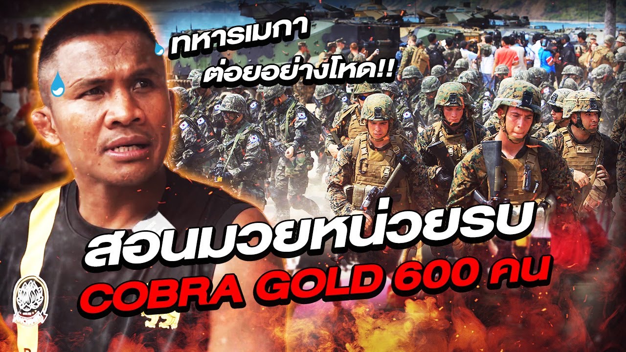 บัวขาวสอนมวยหน่วยรบ Cobra gold 600 คน! ทหารเมกาต่อยอย่างโหด !! (Eng Sub) EP.89 | Buakaw Banchamek