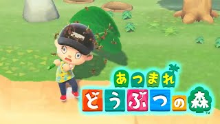 【あつ森】シフォンのどうぶつの森-Day１(1日目)
