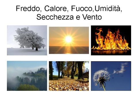 Dolore alla schiena dopo aver dormito forum Dolore nella parte posteriore sotto la combustione scapola