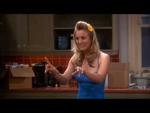 Penny and the Physicist joke - The Big Bang Theory