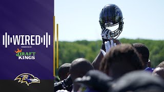 Ravens Wired : Something to Prove
