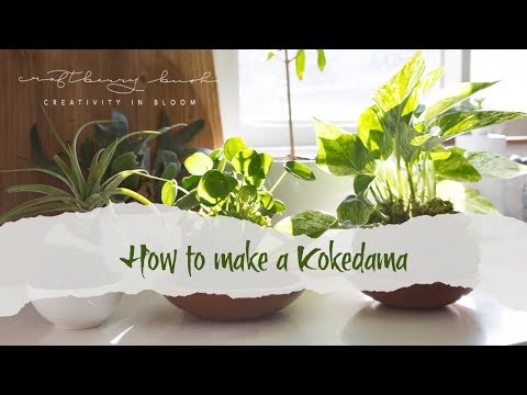 download lagu mp3 mp4 Kokedama Soil, download lagu Kokedama Soil gratis, unduh video klip Kokedama Soil