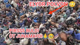 Qush toy 🐎🐎 Kitob #RUSTAM polvon  #AKULA BN