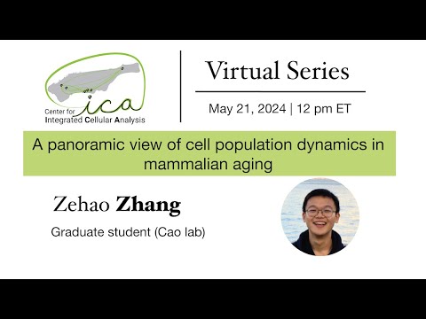 CICA Virtual Seminar Series- Zehao Zhang- 05/21/2024