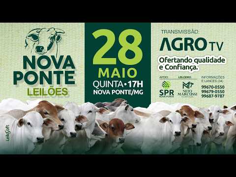NOVA PONTE LEILÕES - 28/05/2026