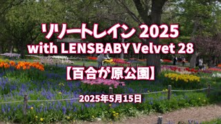 2025年5月15日 リリートレイン 2025 with LENSBABY Velvet 28【百合が原公園】