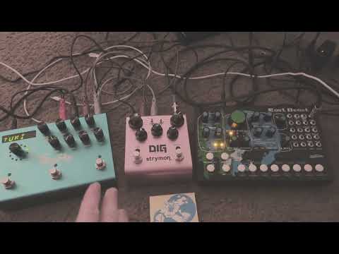 The Cre8audio East Beast is both cute and sounds awesome !