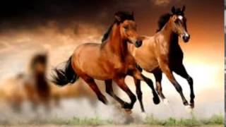 Download lagu horse running sound effects efek suara kuda berlar... mp3