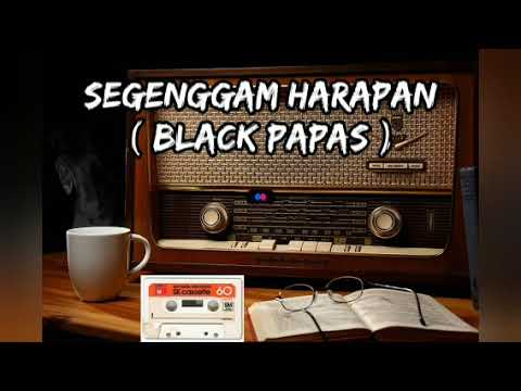 Segenggam Harapan - Black Papas (lirik)