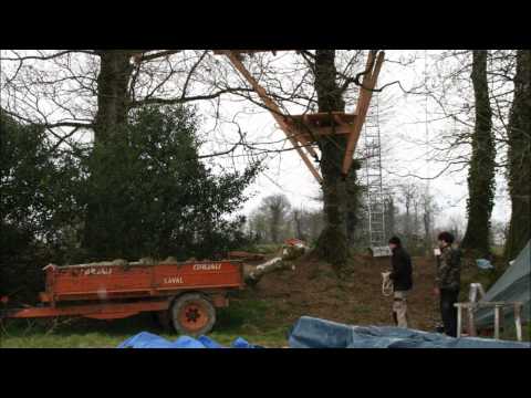 comment construire une cabane avec des branches