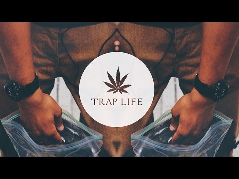 SVPERIOR DWELLS - DOLOR