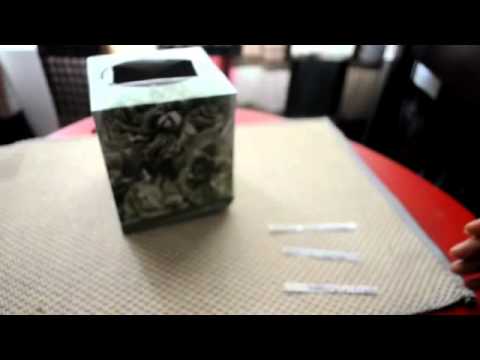 Laoshu's language contest results