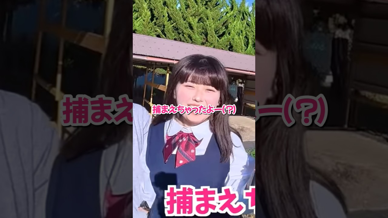 おひなさまが自由すぎるwwww #コムドット #今日好き #おひなさま #shorts #コムの巣窟