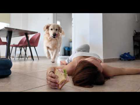 YouTube 썸네일