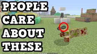 Minecraft - 5 Rare Features People DO CARE About