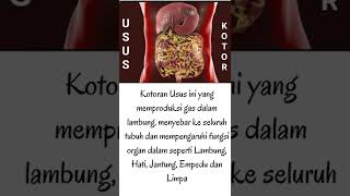 Download lagu Herbal Terbaik untuk Asam Lambung ( WA me 082136110040) mp3