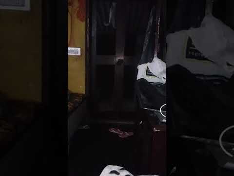 Omg my cat is a super man