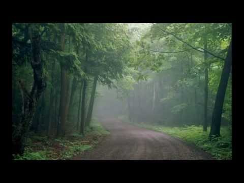 Joe Hisaishi 久石譲   29 Song Golden Collection