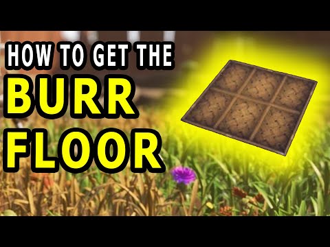 How to get BURR FLOORS and SPIKY BURRS in Grounded