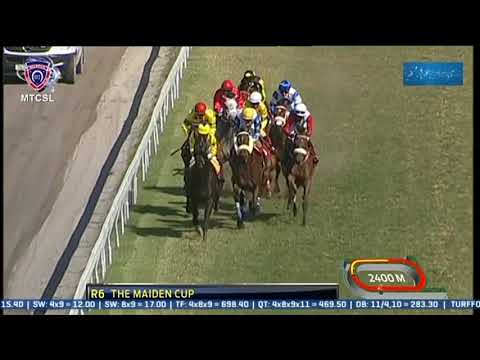 2021.10.03 Maiden Cup (MRI) - Alshibaa