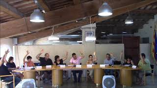 PLE MUNICIPAL 11 DE JULIOL DE 2019