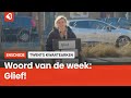 Het Twentse woord van de week: Glief!