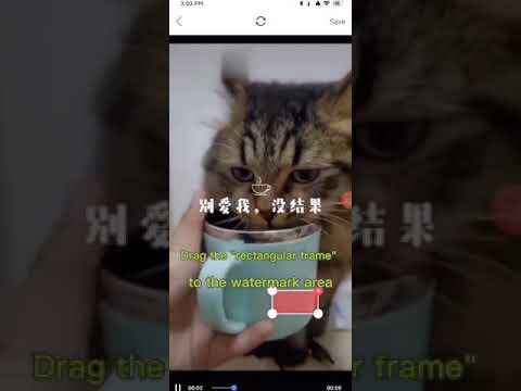 Funbox - Removal Watermark