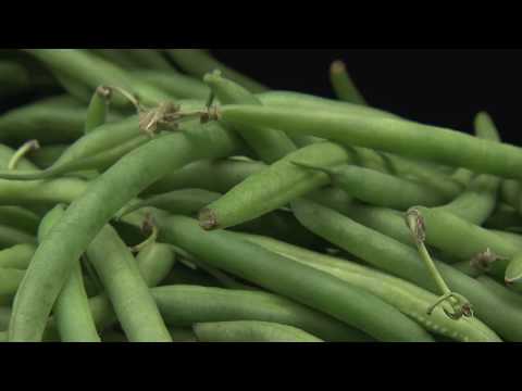 Food As Medicine | Aging Matters | NPT Reports