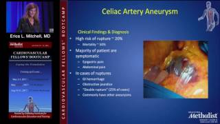 Download Lagu Management of Aneurysmal Disease of Visceral/Renal Arteries (Erica L. Mitchell, MD) Thumbnail