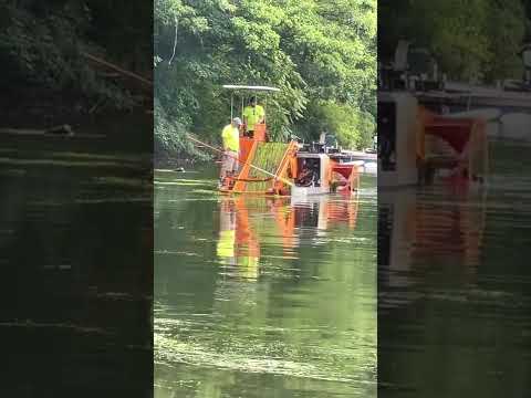 New harvester at work on Tapegrass, off Mansion Beach, on Dudley Pond, Wayland
