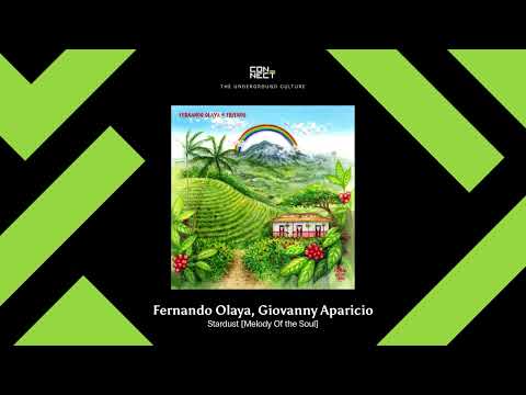 PREMIERE: Fernando Olaya, Giovanny Aparicio - Stardust [Melody Of the Soul]